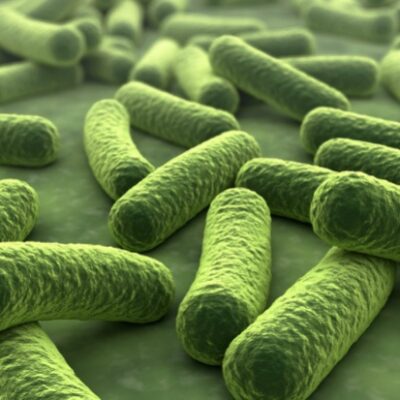 Encapsulación de probióticos con… proteína de guisante.