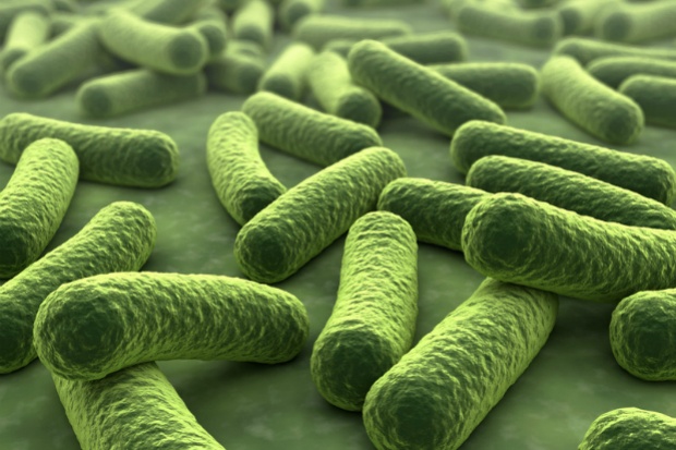 En este momento estás viendo Encapsulación de probióticos con… proteína de guisante.