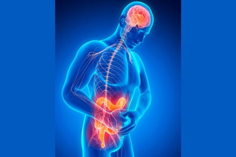 La alimentación funcional y muy especialmente la del cuidado de la microbiota será tendencia este año