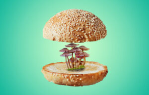 Lee más sobre el artículo Malos tiempos para… la micoproteína.