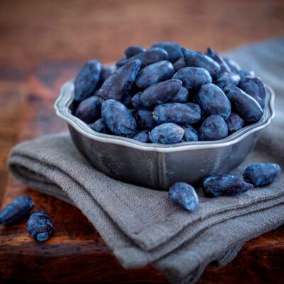 El Haskap. El blueberry mejor que cualquier blueberry.