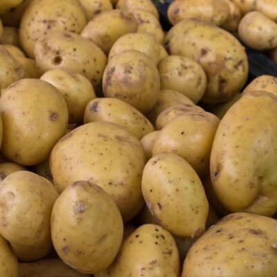 La patata, ¿fábrica de proteína?