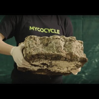 Material de construcción a base de… hongos.