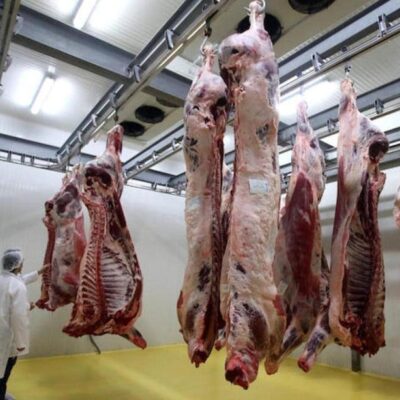 ¿Qué hacer con la sangre procedente de los mataderos?… Proteína.