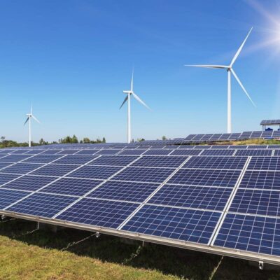 Llegan los paneles solares con… residuos de madera de olivo.