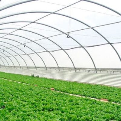 Invernaderos más productivos gracias a… un aerosol.