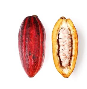 Lee más sobre el artículo Cacao más sostenible y con mejor rendimiento gracias a… Nestlé.
