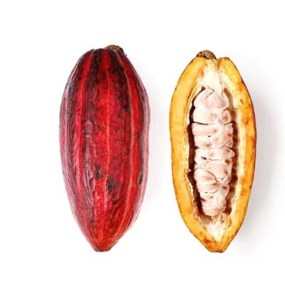 Cacao más sostenible y con mejor rendimiento gracias a… Nestlé.