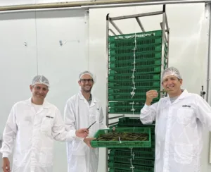 Lee más sobre el artículo Ya está aquí la vainilla cultivada en… invernaderos.