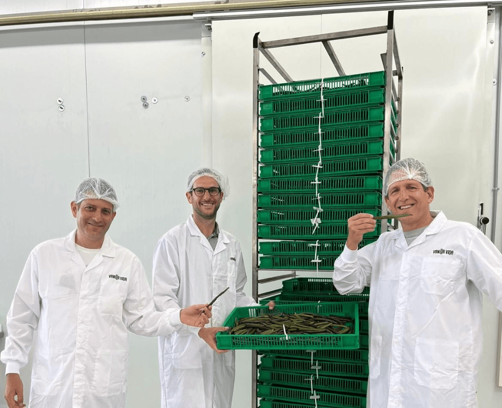 En este momento estás viendo Ya está aquí la vainilla cultivada en… invernaderos.