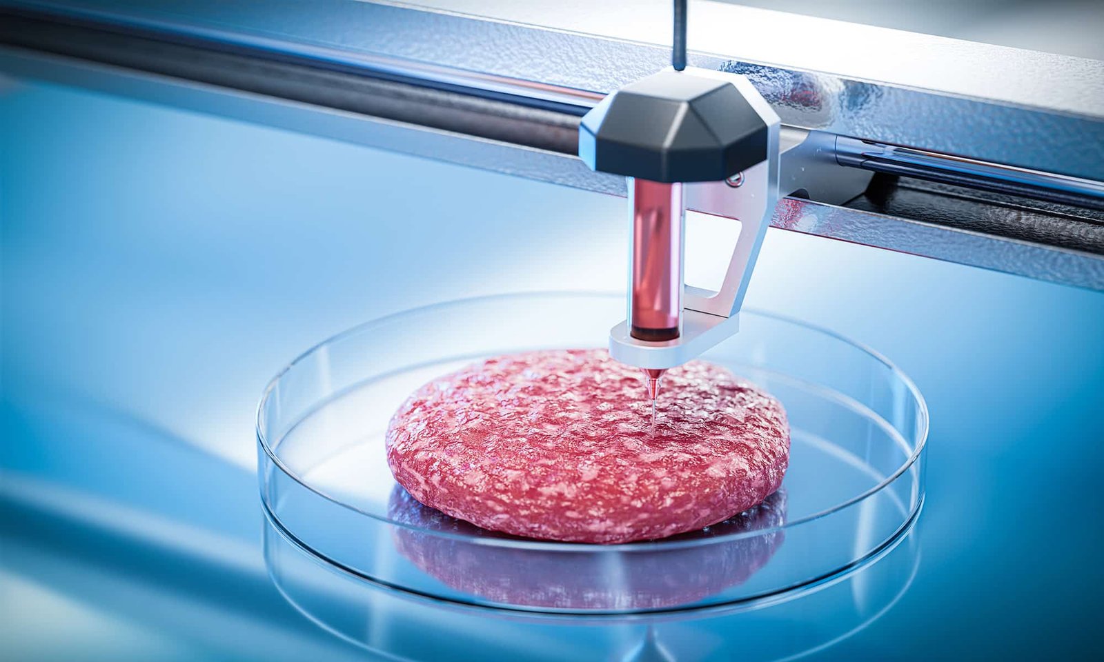 La EFSA busca que se aceleren los procedimientos de Novel Food en la UE, especialmente aquellos sobre carne cultivada y fermentación de precisión.