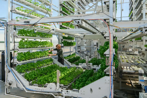 El futuro de las granjas verticales ya está aquí gracias a diferentes empresas que han surgido en los últimos años.