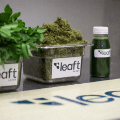 El Rubisco… la proteína más abundante del mundo.