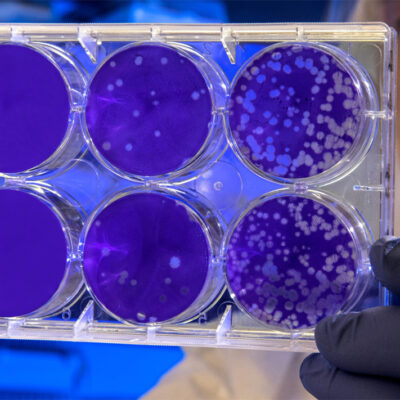 Cultivo celular marino y en polvo… alimentando al mundo desde Portugal.