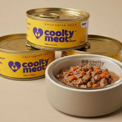 Llega a Europa la carne cultivada… para perros.