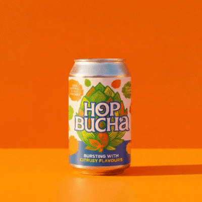Llega la Hopbucha, la evolución de las kombuchas.