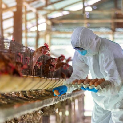 La seguridad alimentaria… Un sistema sólido pero no irrompible.