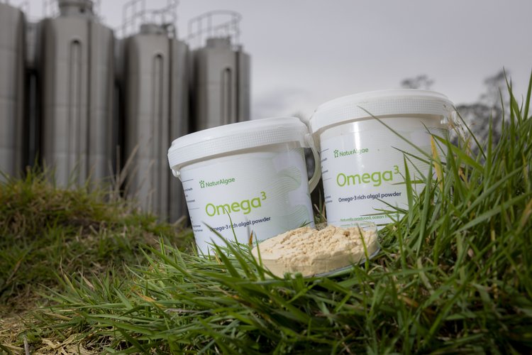 La startup escocesa Mialgae ya es capaz de producir Omega 3 sin pescado y sin agua de mar.