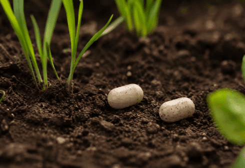Unas pequeñas semillas sintéticas son la solución para mejorar la productividad en el campo. Según una startup británica.