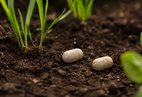Unas pequeñas semillas sintéticas son la solución para mejorar la productividad en el campo. Según una startup británica.