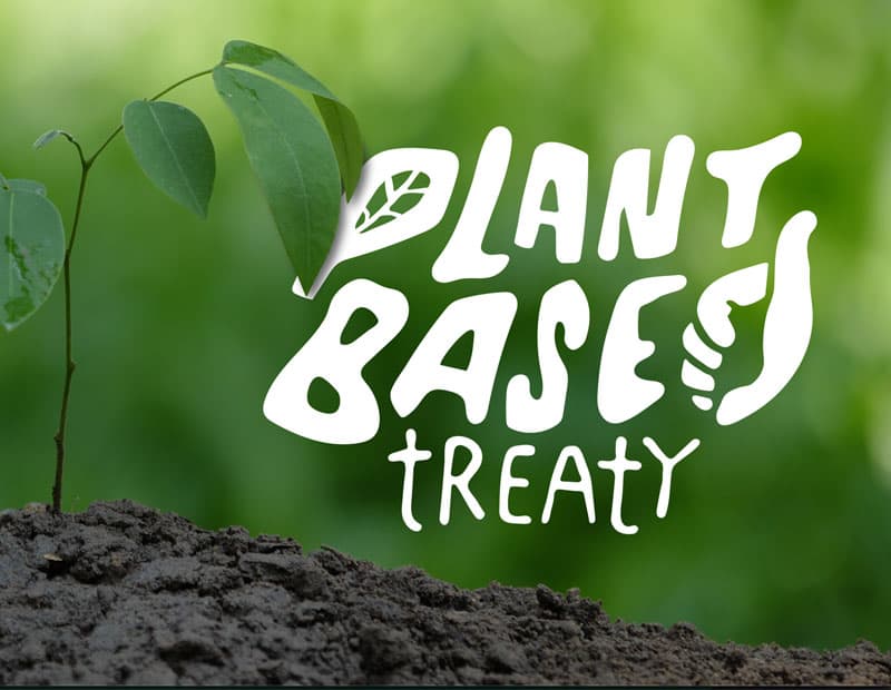 En este momento estás viendo El Ayuntamiento de Parla se une al Plant Based Treaty.