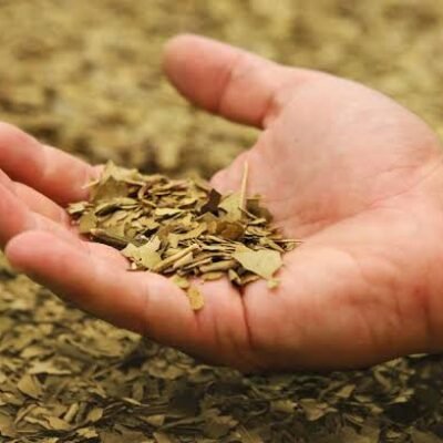 Las bebidas de yerba mate no encuentran su sitio… en España.