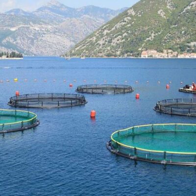 Satélites e IA al servicio de la acuicultura.