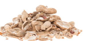 Las cáscaras de los cacahuetes pueden convertirse en ingrediente funcional para galletas según varias universidades turcas.