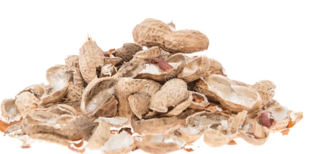 Las cáscaras de los cacahuetes pueden convertirse en ingrediente funcional para galletas según varias universidades turcas.