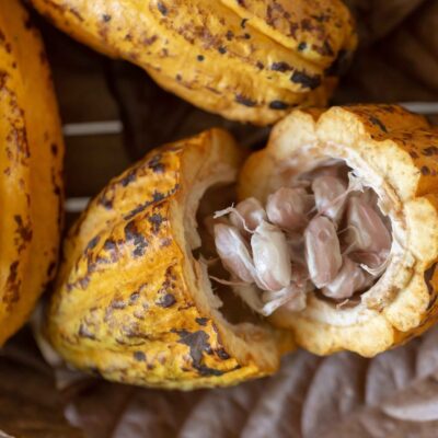 Del cacao se aprovecha… hasta los andares.