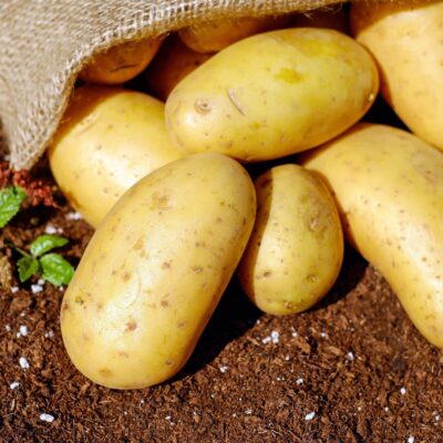 Comer patatas ha modificado tu ADN
