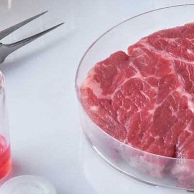 Cómo un subproducto de la cerveza puede mejorar… la carne cultivada.