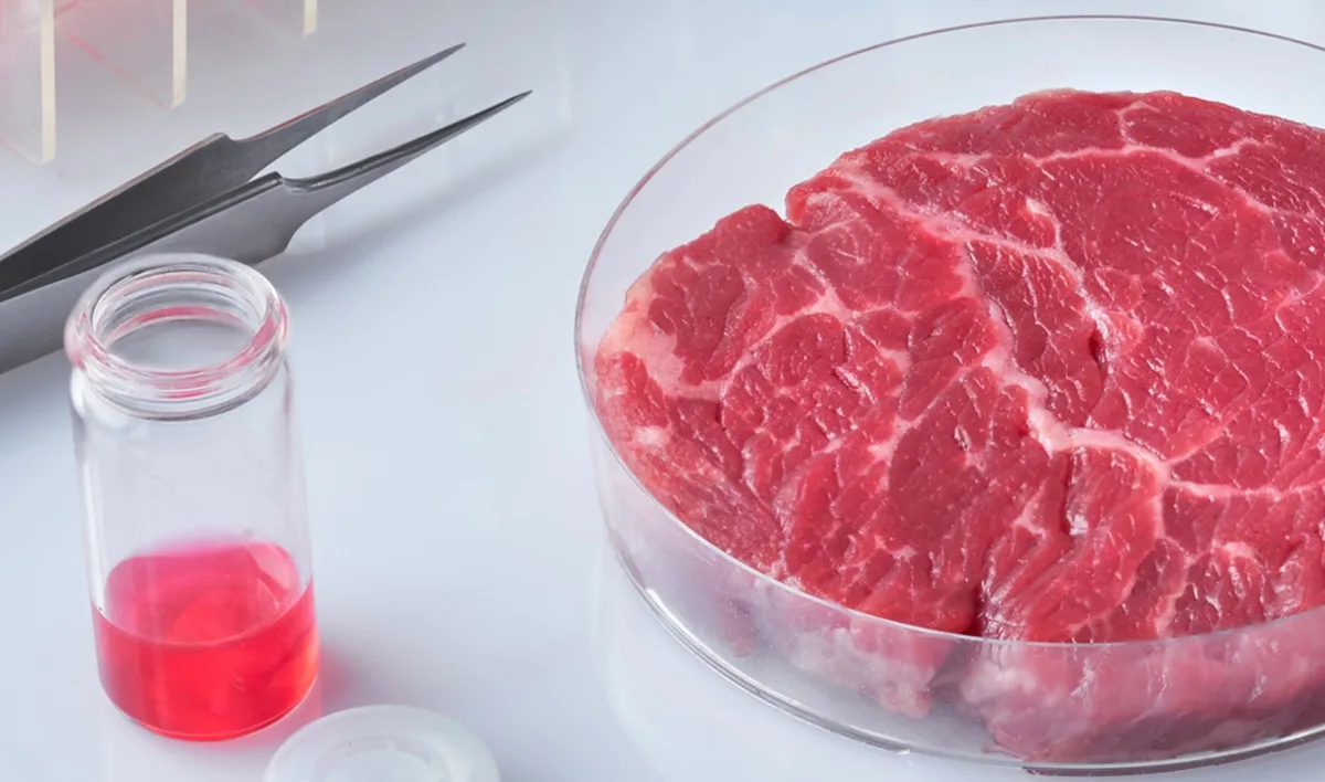 La carne cultivada aún tiene que superar retos que le permitan parecerse en sabor, textura y aroma a la carne natural