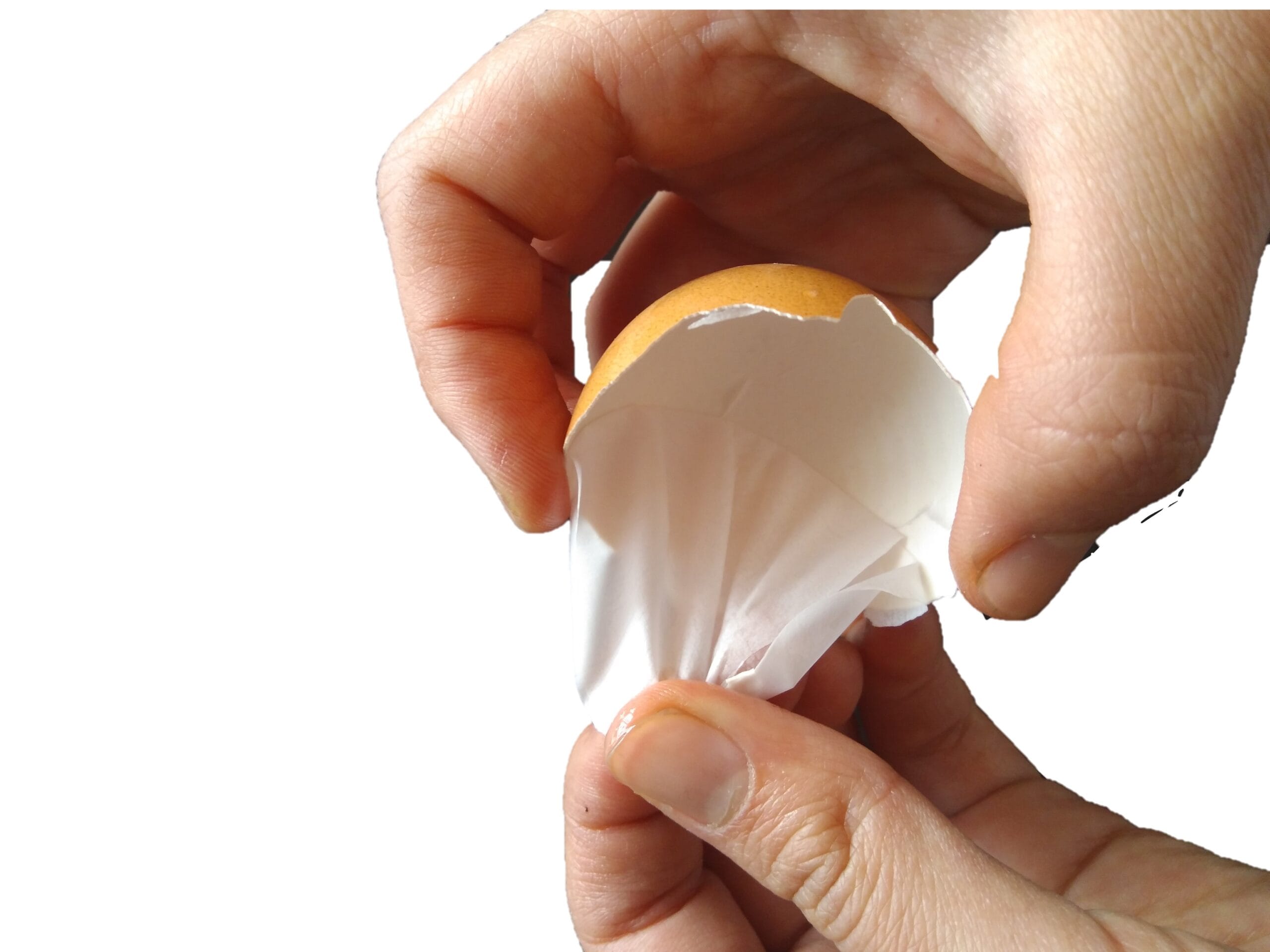 La empresa española Eggnovo acaba de lograr la aprobación de la UE para la comercialización de uno de sus ingredientes a base de membrana de huevo.